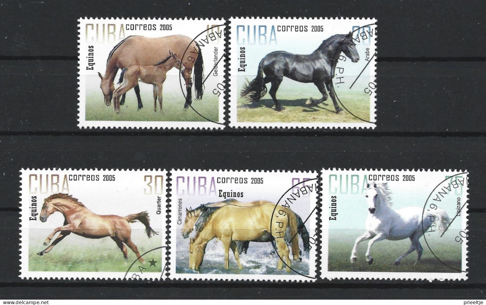 Cuba 2005 Horses Y.T. 4291/4295 (0) - Used Stamps