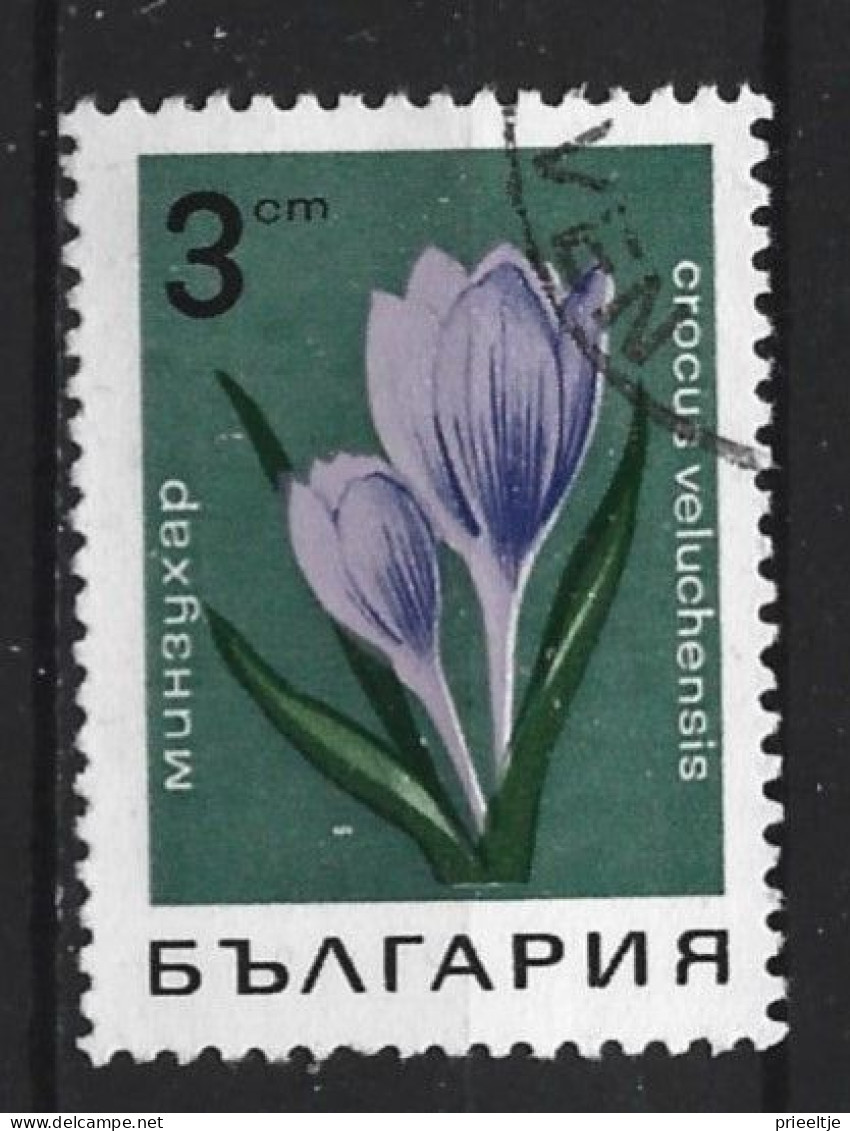 Bulgaria 1968  Flowers  Y.T. 1585 (0) - Usados