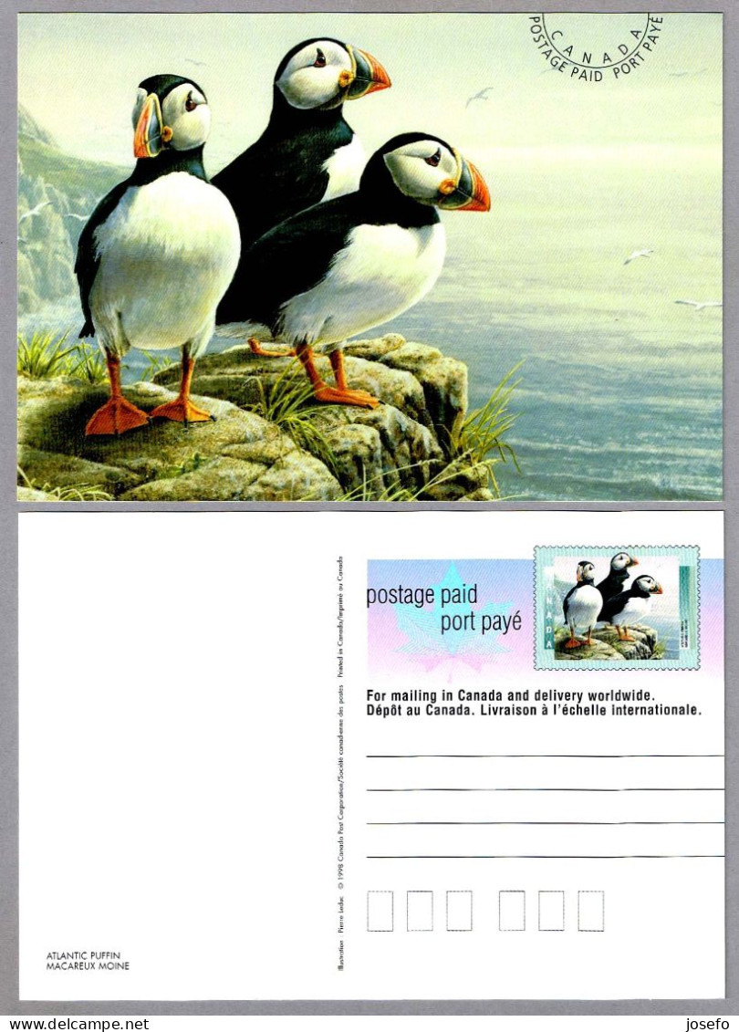 ATLANTIC PUFFIN - FRAILECILLO - MACAREUX MOINE. Tarjeta Entero Postal Canada - Marine Web-footed Birds