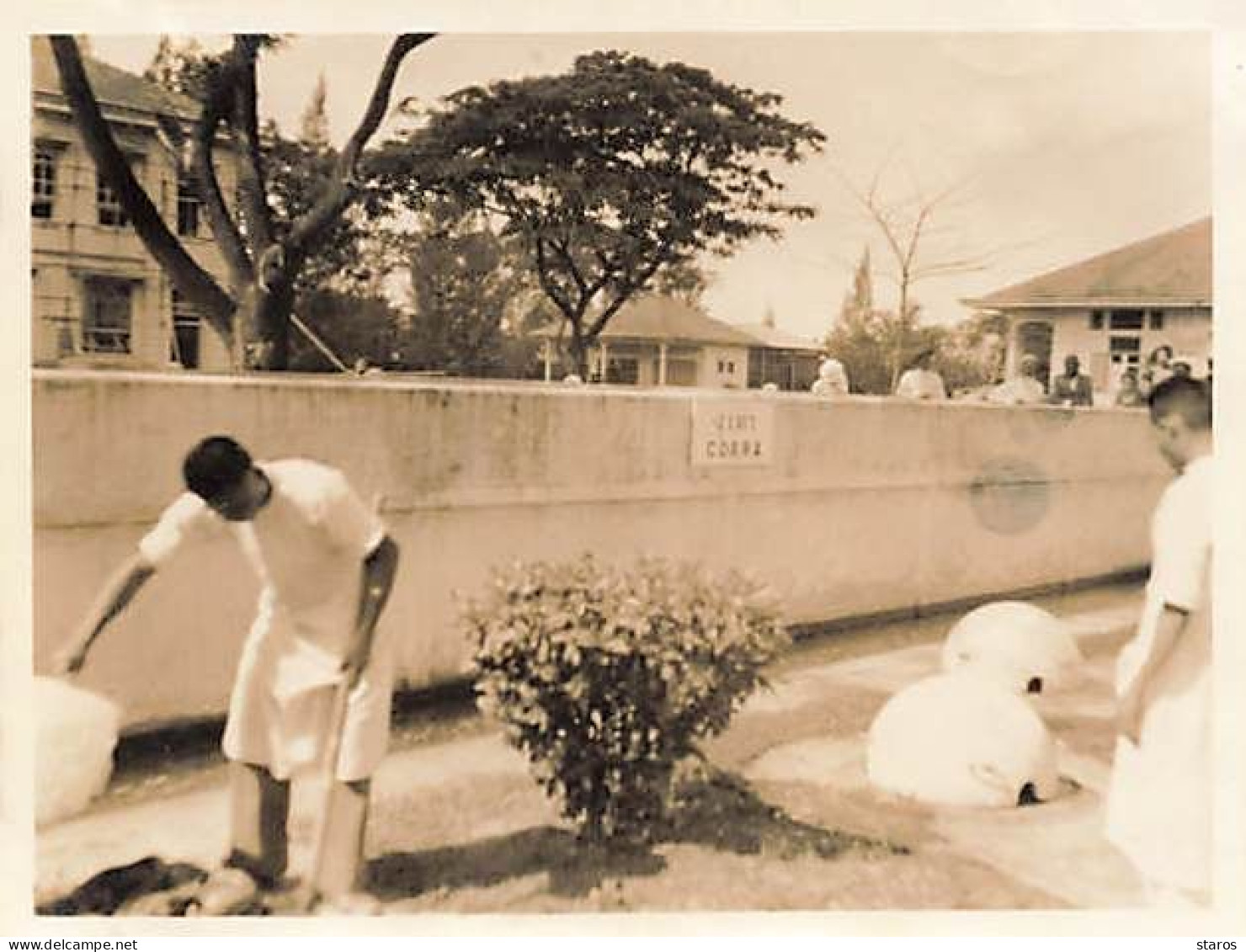 Photo - Thaïlande - BANGKOK - L'Infirmier Soulève Les Cloches - Format 10,7 X 8,4 Cm - Tailandia