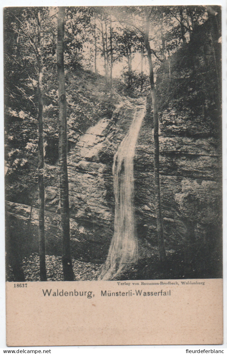 WALDENBURG (SUISSE) - CPA - Münsterli-Wasserfail - Waldenburg