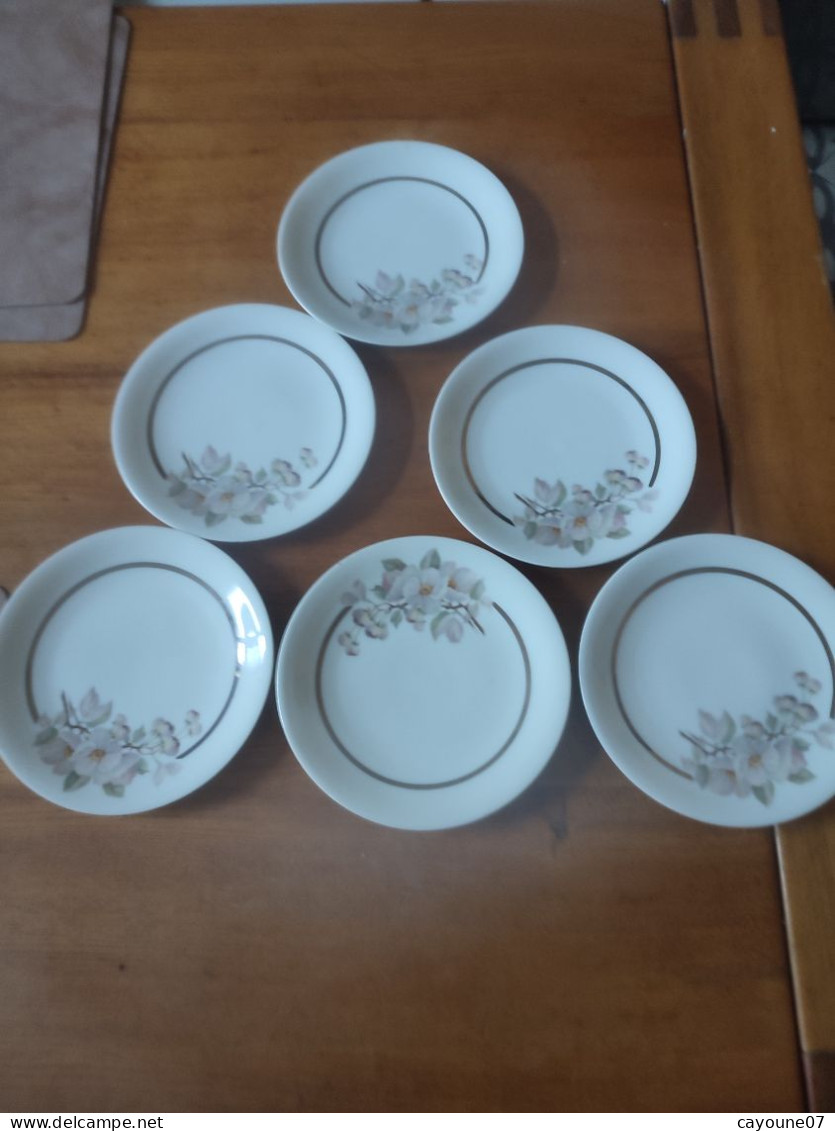 Touze Lemaître Et Blancher 6 Assiettes à Dessert Gâteau En Porcelaine De Limoges 1929/1939 Porcelaine Française - Limoges (FRA)