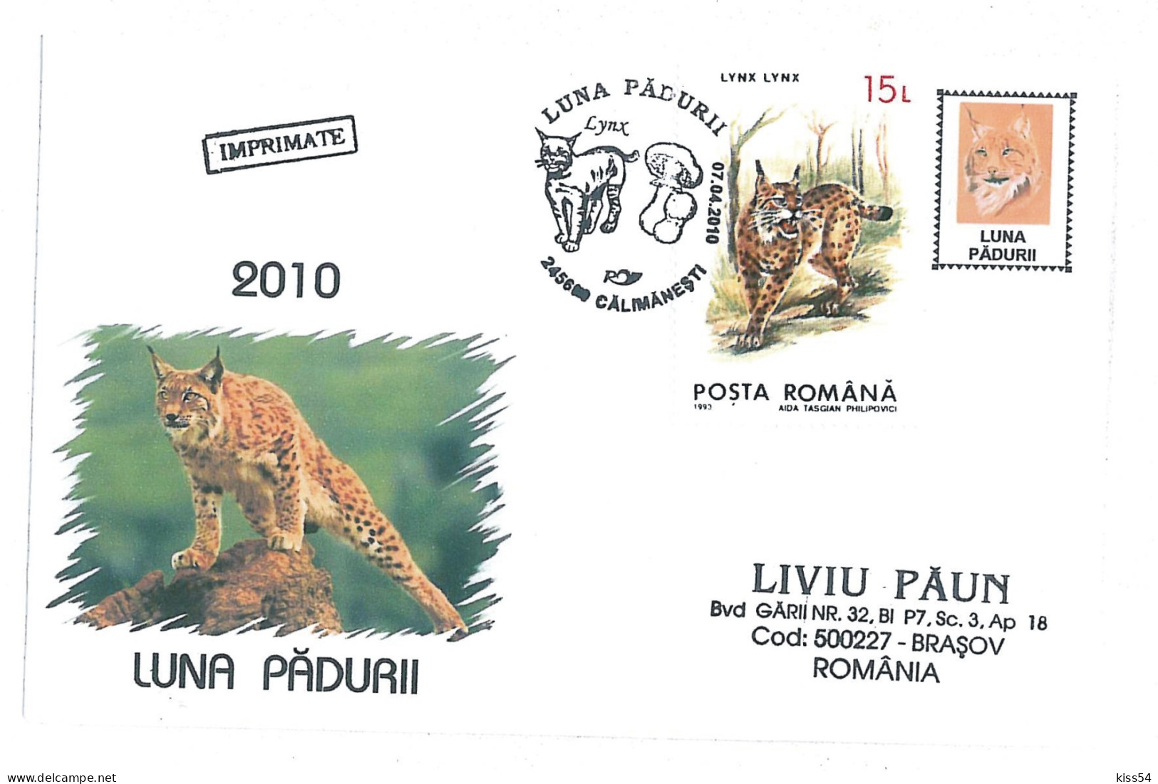 COV 22 - 917 LYNX, Romania - Cover - Used - 2010 - Maximum Cards & Covers