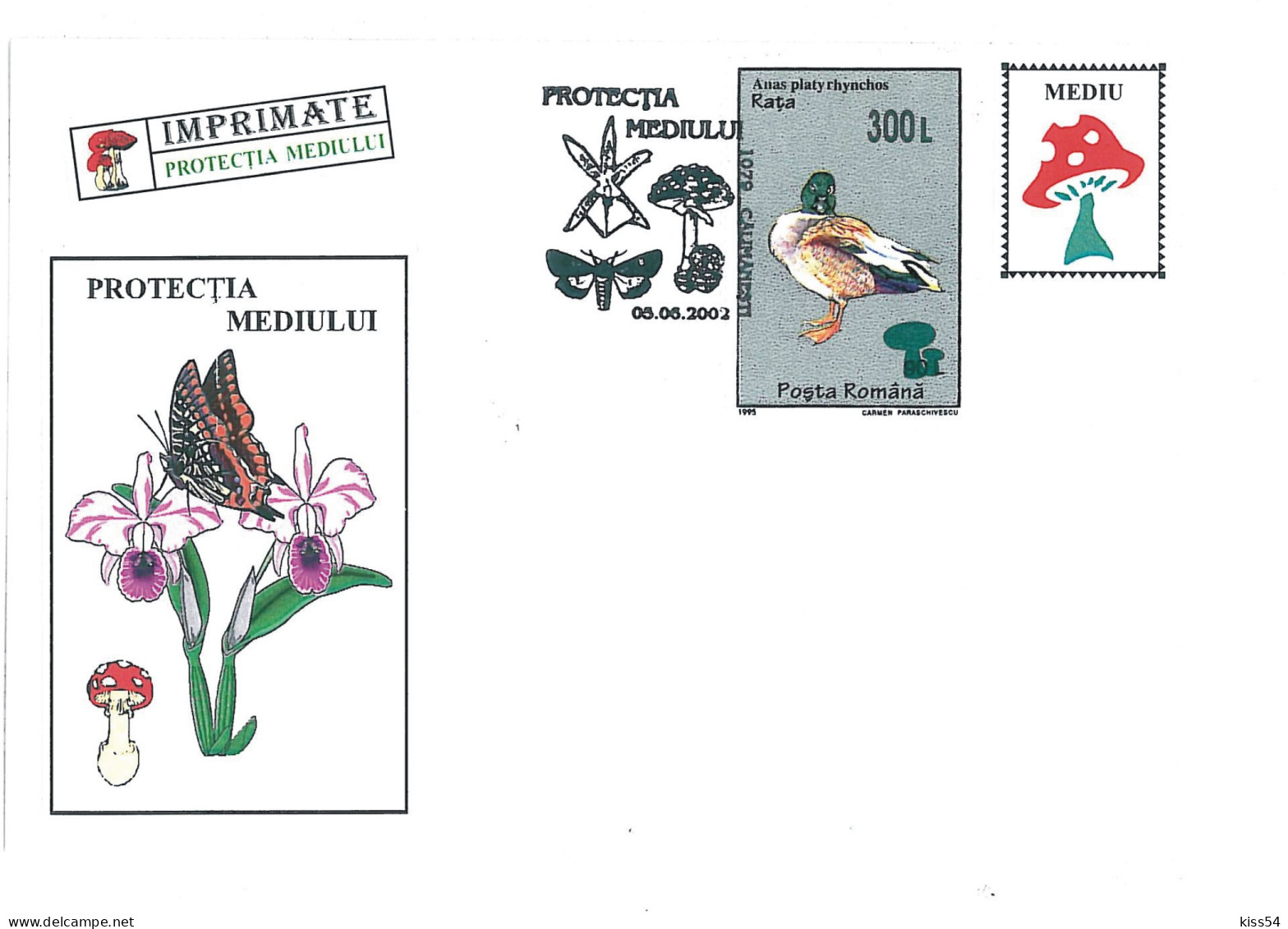 COV 22 - 1743 MUSHROOM, Environmental Protection, Romania - Cover - Used - 2002 - Maximumkarten (MC)