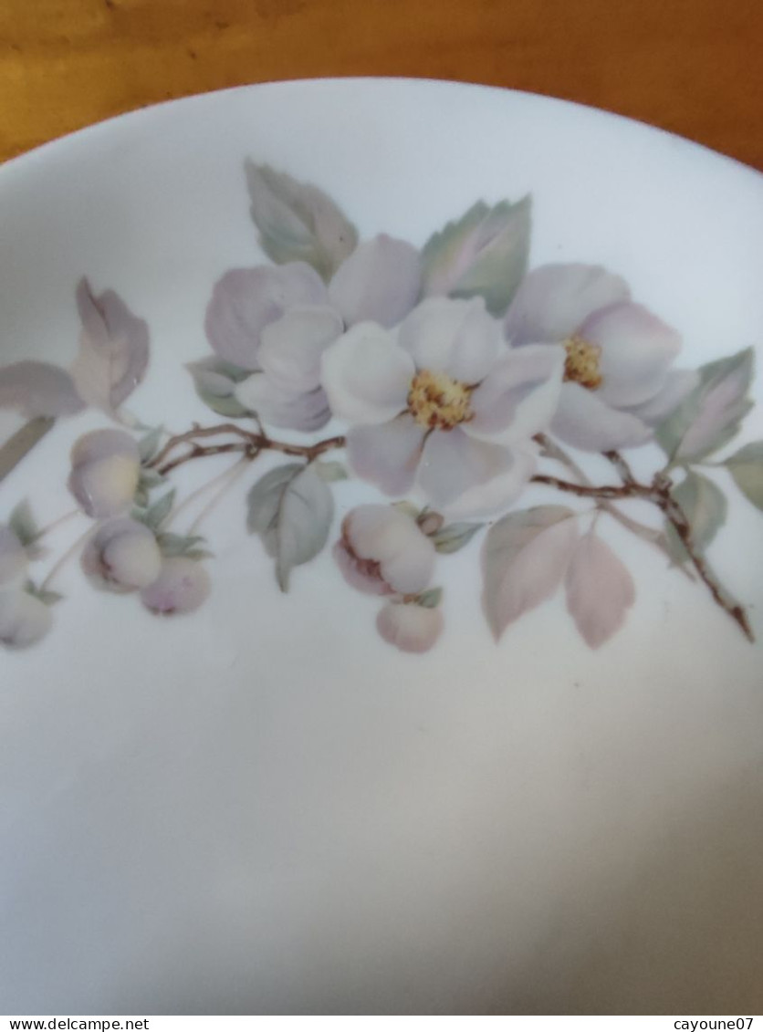 Touze Lemaître et Blancher plat à gâteau en porcelaine de Limoges 1929/1939 porcelaine française