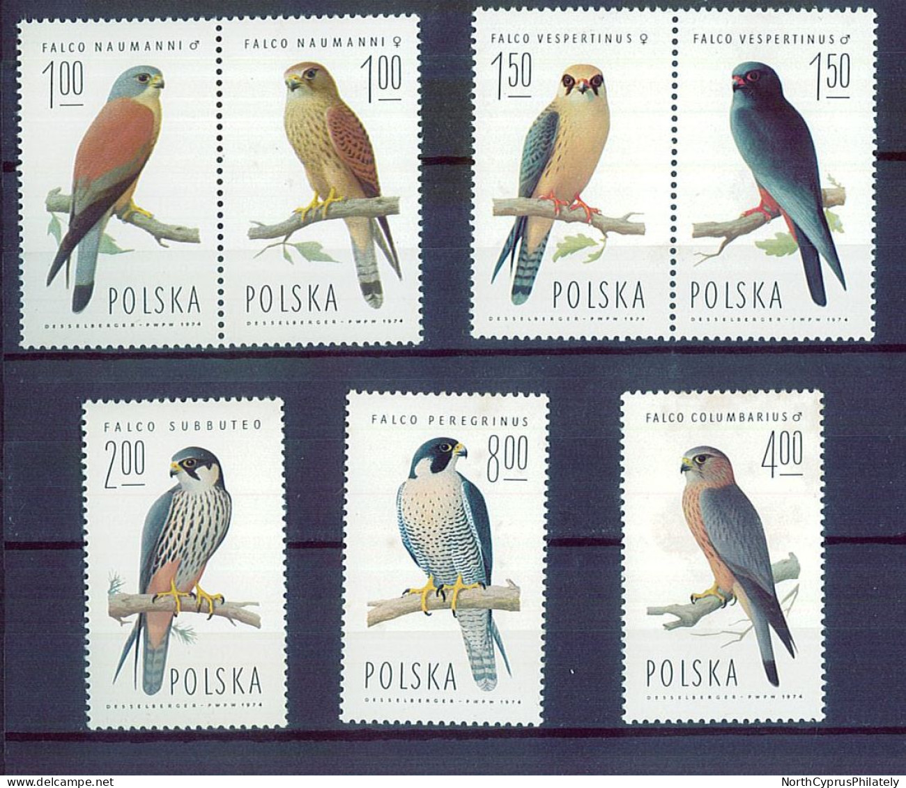 POLSKA POLAND 1964 Birds Falcon, MNH - Águilas & Aves De Presa