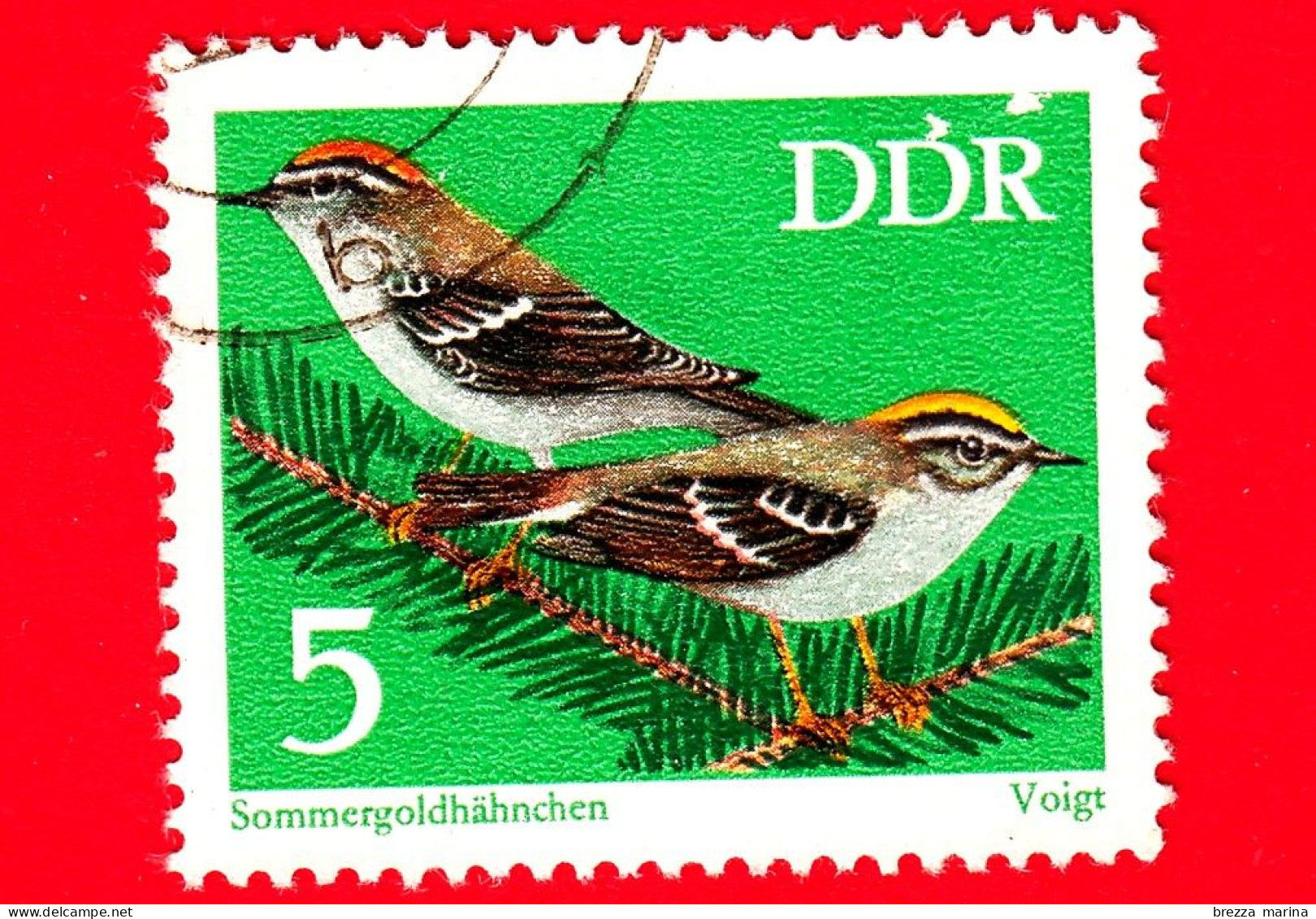 GERMANIA - DDR - Usato - 1973 - Uccelli Canterini Protetti - Fiorrancino Comune (Regulus Ignicapillus) - 5 - Gebraucht