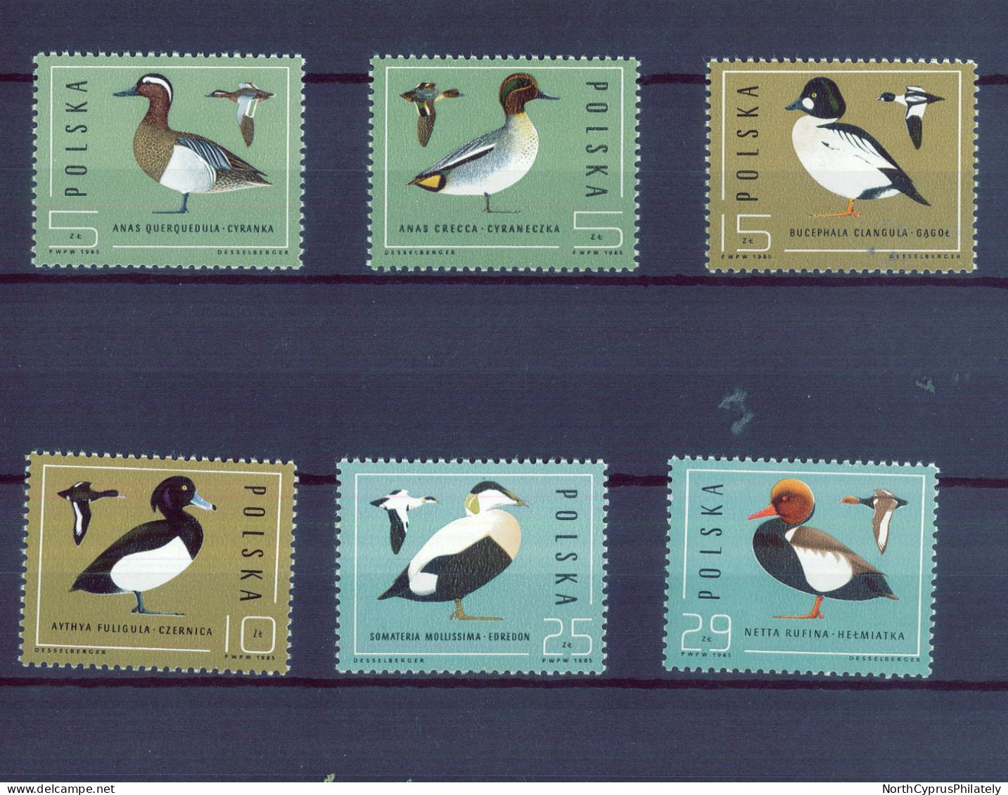 POLSKA POLAND 1965 Birds Ducks  , MNH - Anatre