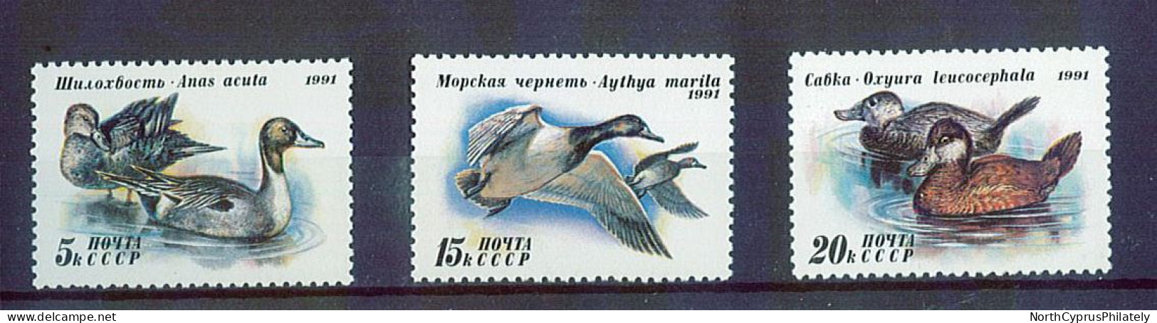 CCCP 1991 Birds Ducks, MNH - Canards