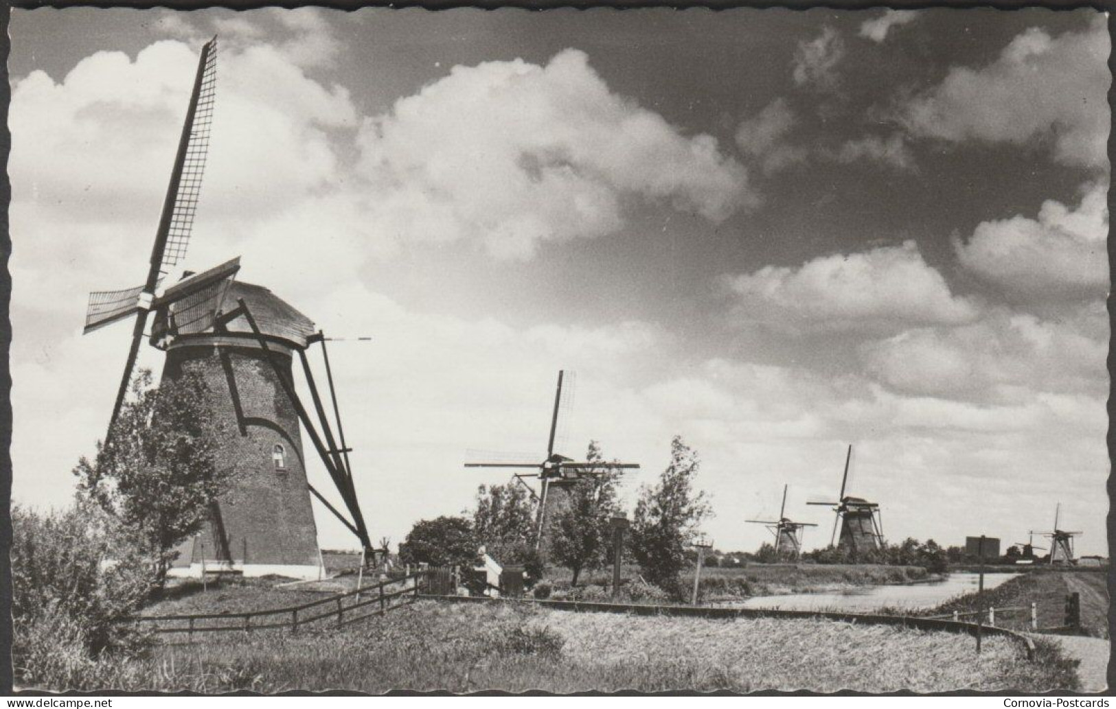 Hollandse Molen, Kinderdijk, C.1950s - Spanjersberg Foto Briefkaart - Kinderdijk