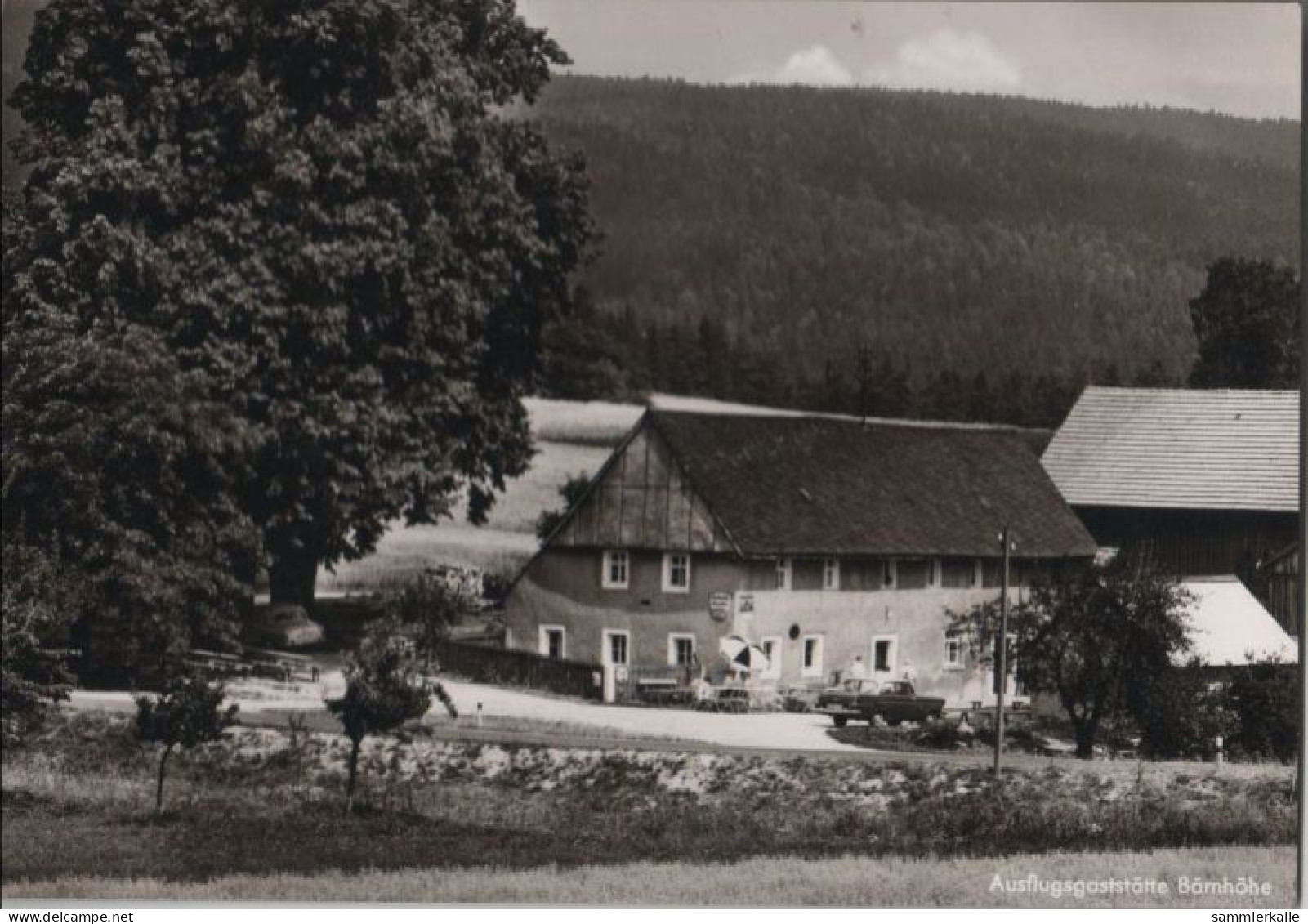 53712 - Friedenfels - Ausflugsgaststätte Bärnhöhe - Ca. 1965 - Tirschenreuth