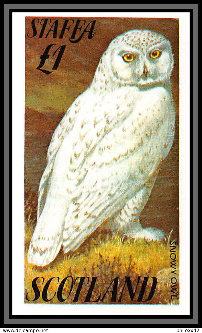 80827 Staffa Scotland TB Neuf ** MNH Oiseaux Birds Bird Snowy Owl Harfang Des Neiges Chouette - Schottland