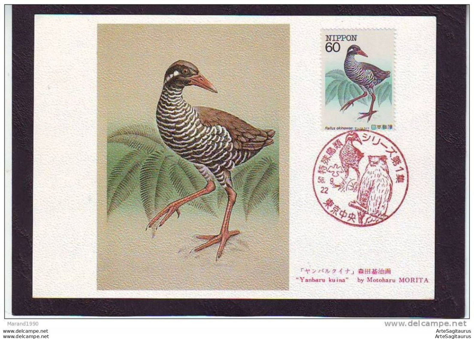 JAPAN, CARTE MAXIMUM - BIRDS-Rallus Okinavae # - Marine Web-footed Birds