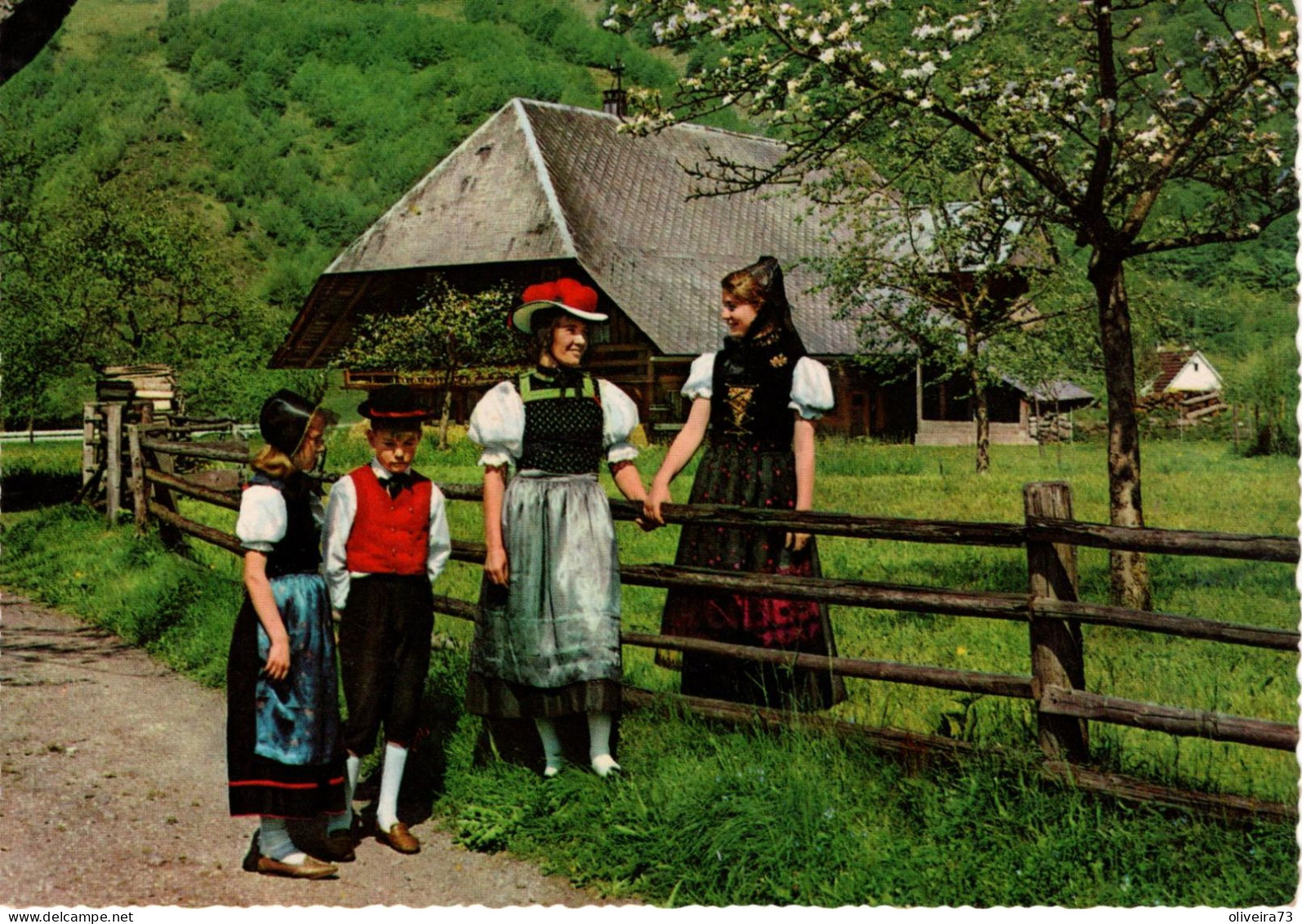 GERMANY - Im Schwarzwald - Hochschwarzwald