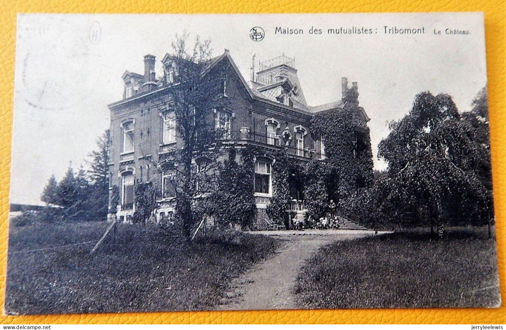 TRIBOMONT  -  Maison Des Mutualistes - Le Château - Herve