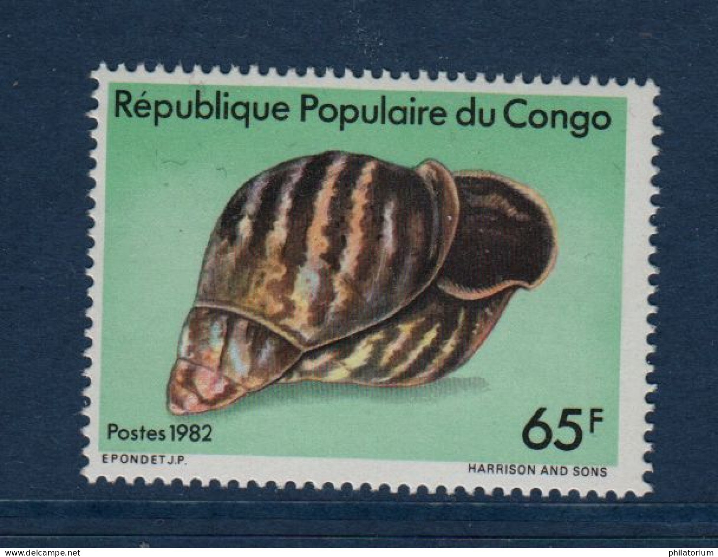 Congo, **, Yv 683 B, Mi 902, SG 907, Coquillage, - Neufs