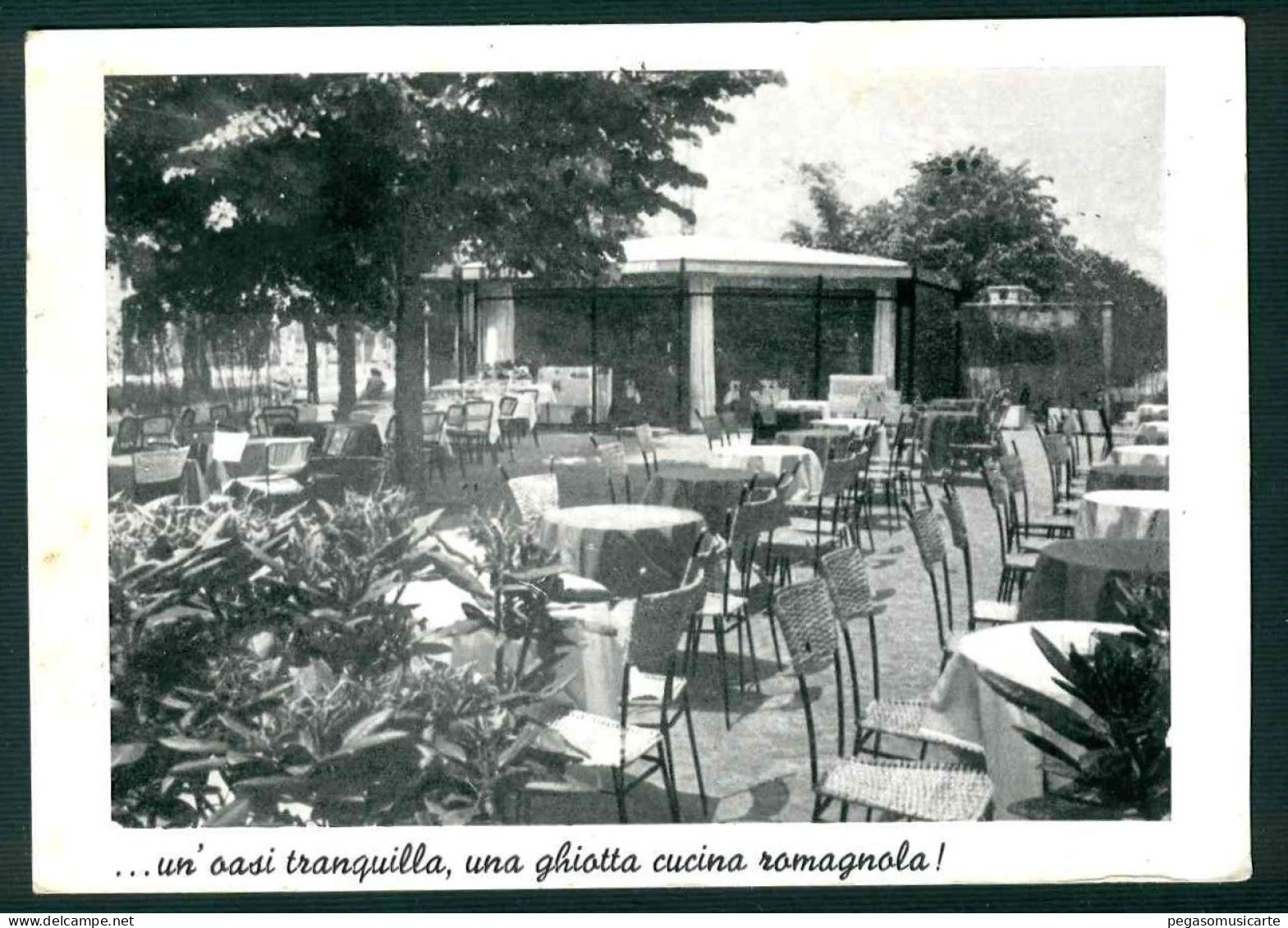 BD097 - RISTORANTE BAR SISTO - MONZA - CARTOLINA FOTOGRAFICA PUBBLICITARIA - 1960 - Monza