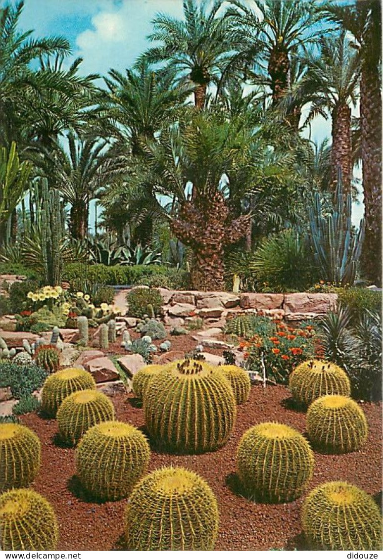 Fleurs - Plantes - Cactus - Espagne - Elche ( Alicante ) - Champ Du Curé. Rocaille - Huerto Del Cura. Rocalla - Coussin  - Cactusses