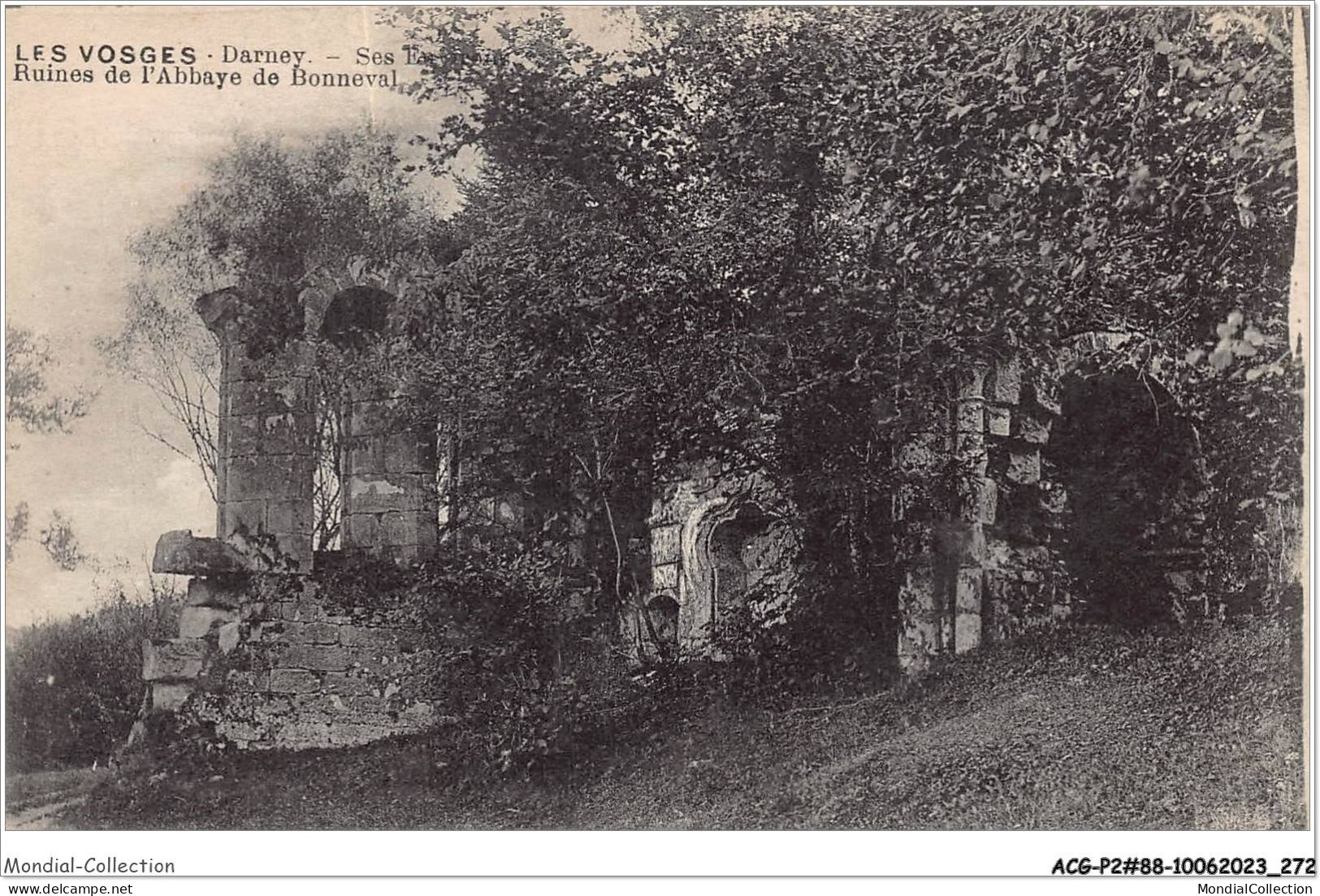 ACGP2-88-0136 - Les Vosges - DARNEY - Ruines De L'abbaye De Bonneval - Darney