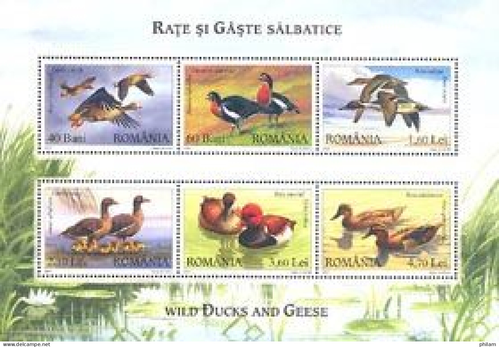 ROUMANIE 2007 - Oies Et Canards Sauvages - 6 Timbres émis En Feuillet - Entenvögel
