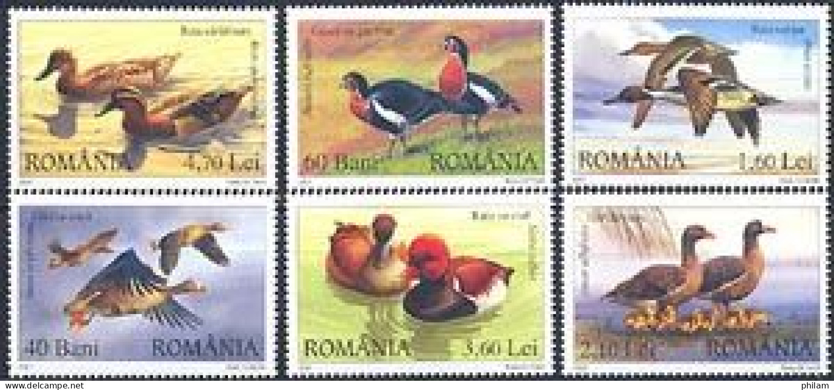 ROUMANIE 2007 - Oies Et Canards Sauvages - 6 V.  Avec Vignette EFIRO 2008 - Entenvögel