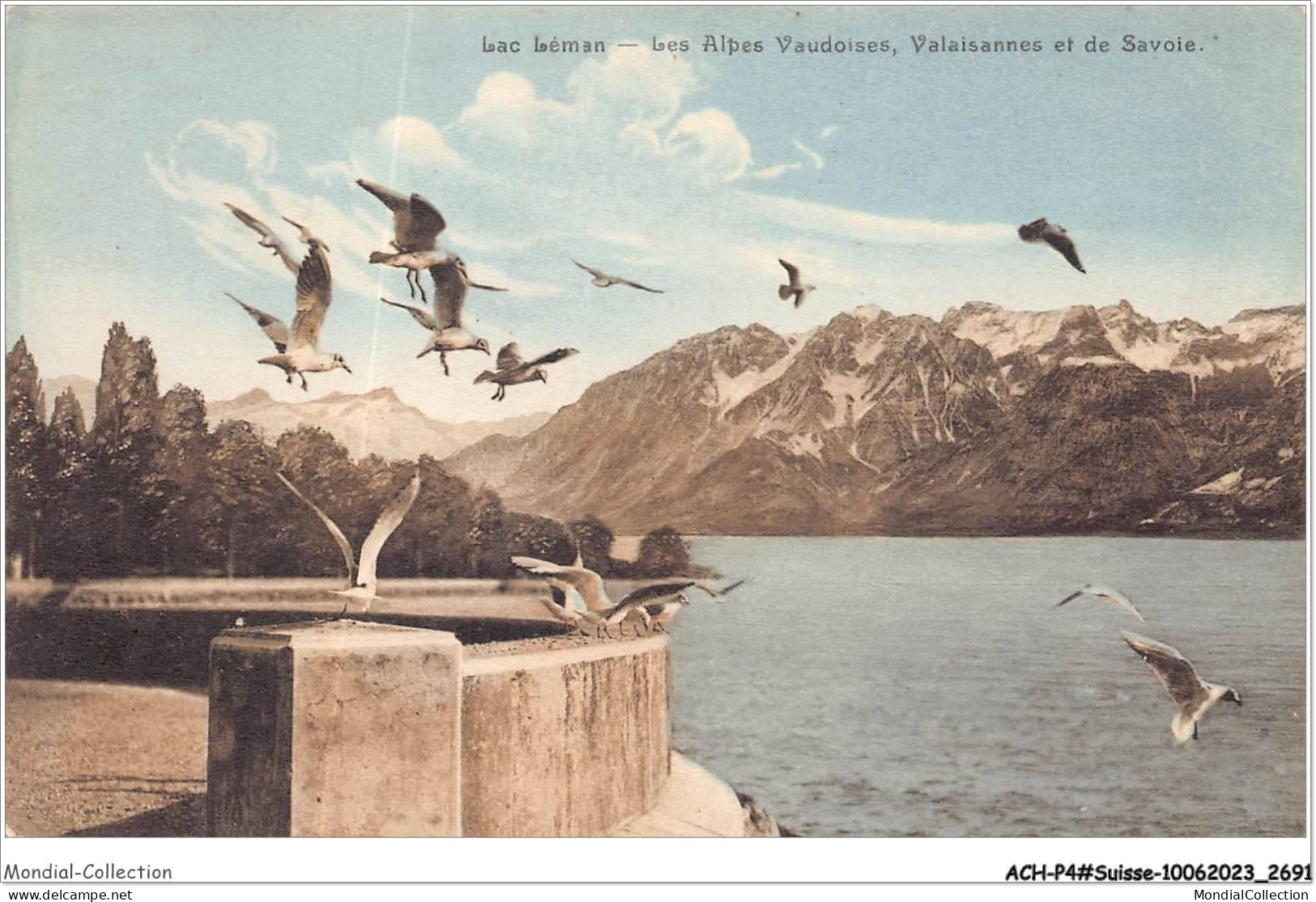 ACH-P4-SUISSE- 0342 - Lac LEMAN - Les Alpes Vaudoises - Valaisannes Et De Savoie - Autres & Non Classés