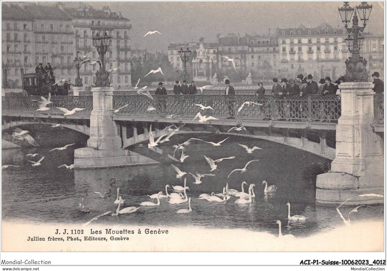 ACIP1-SUISSE-0042 - LES MOUETTES A GENEVE - Genève