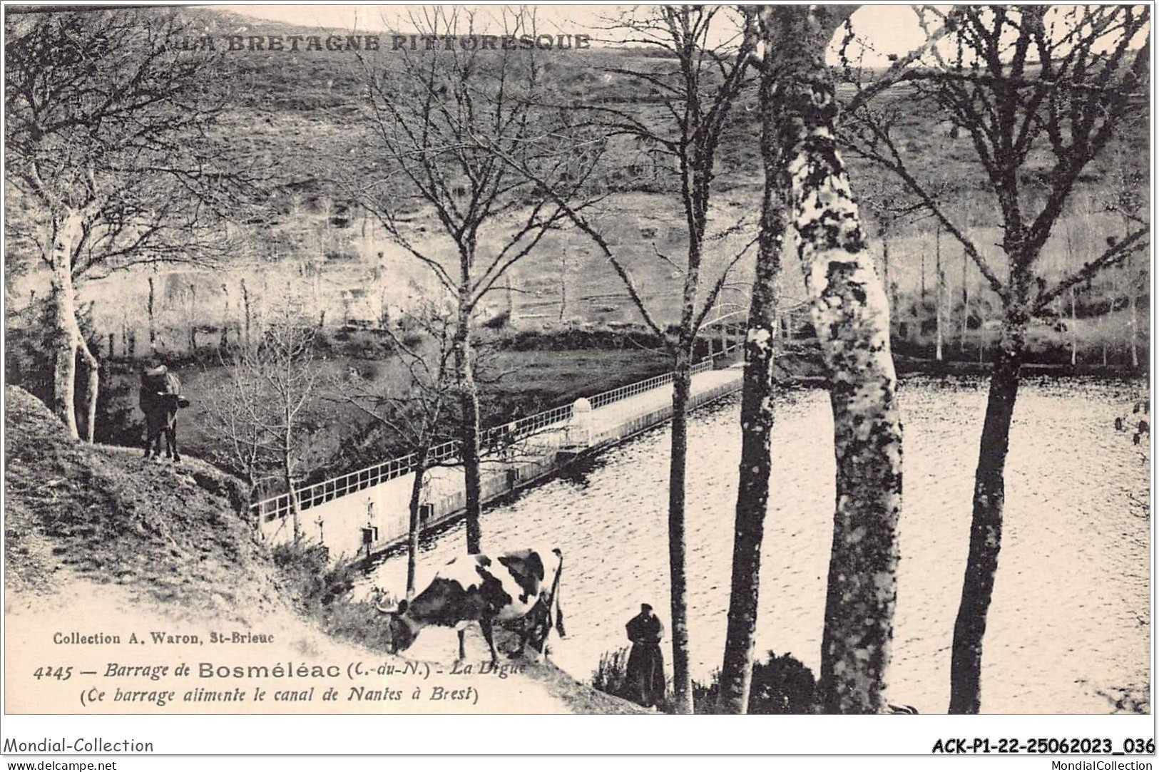 ACKP1-22-0019 - Barrage De BOSMELEAC - La Ligue - La Bretagne Pittoresque  - Bosméléac