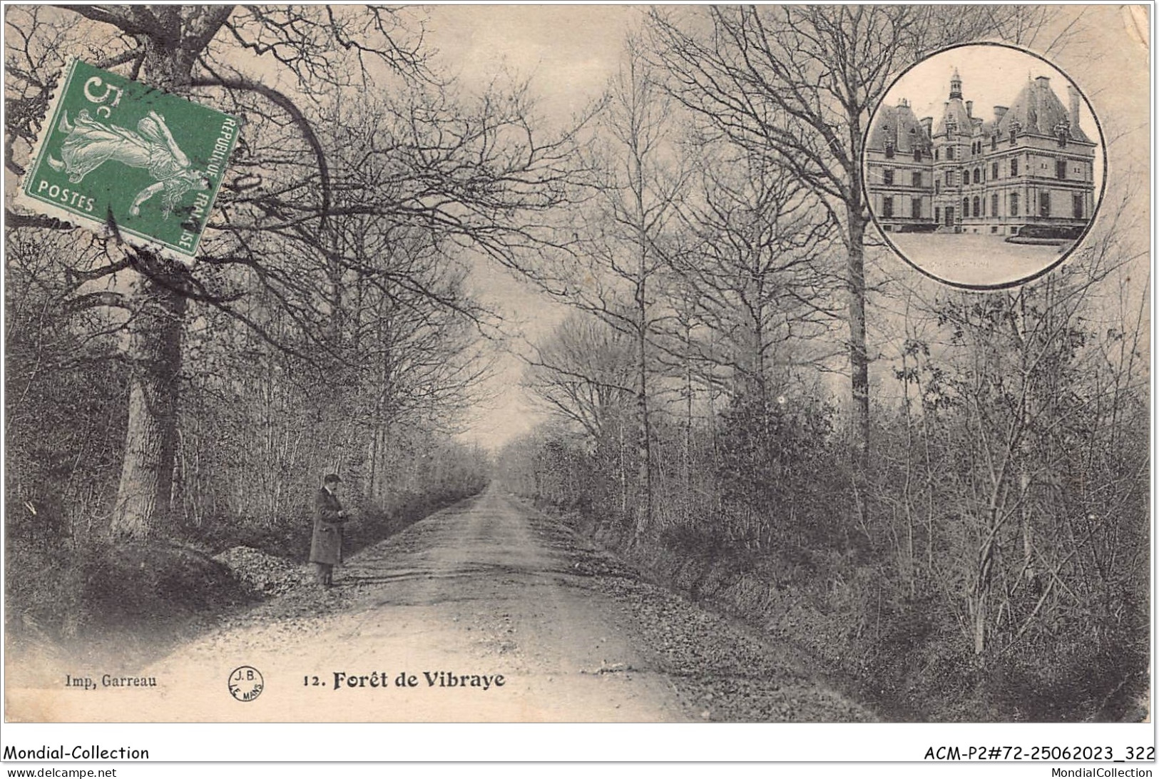 ACMP2-72-0162 - Forêt De VIBRAYE - Vibraye