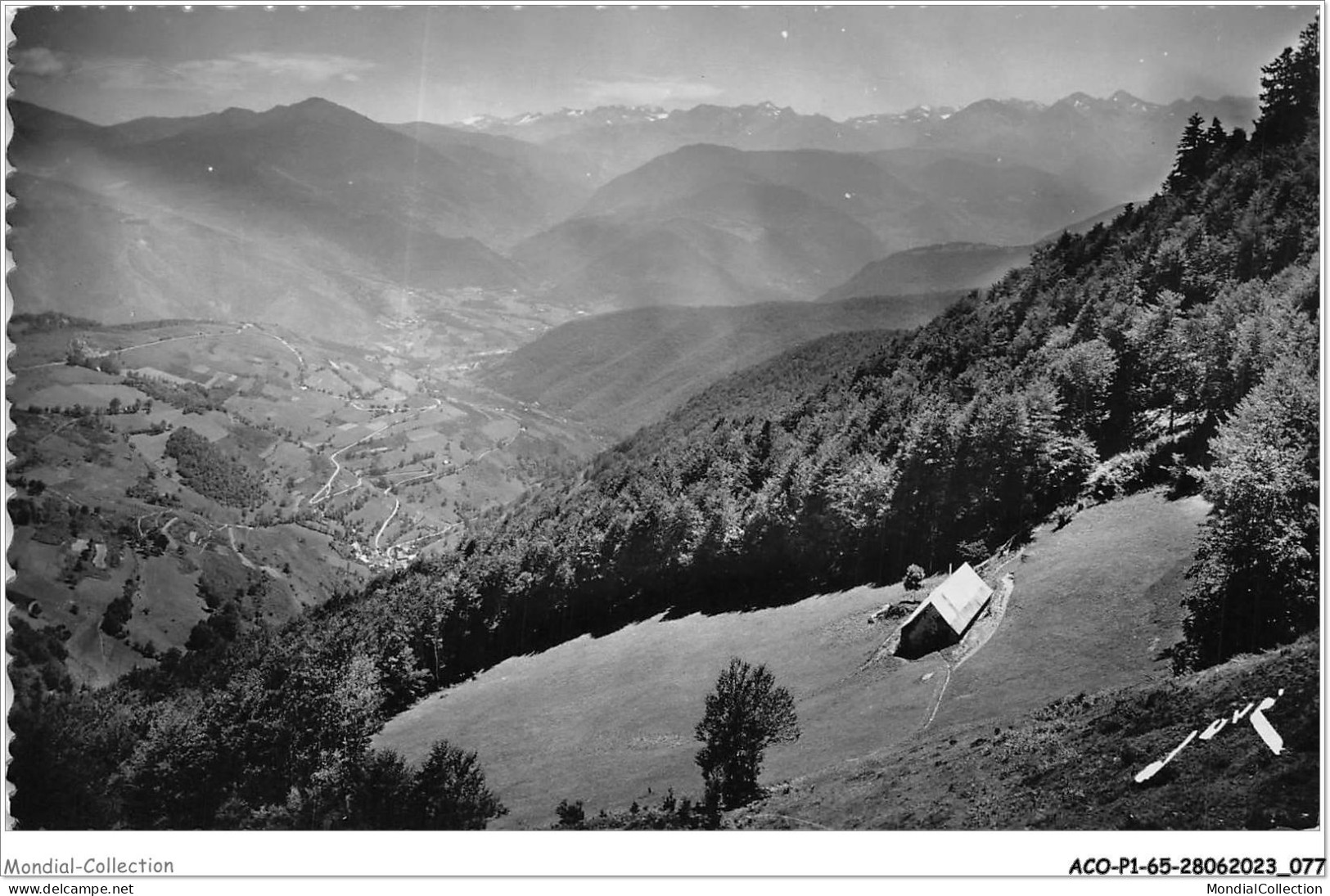 ACOP1-65-0040 - LES PYRENEES - Col D'aspin - Au Sommet Du Col - La Vallée D'arreau - Vielle Aure