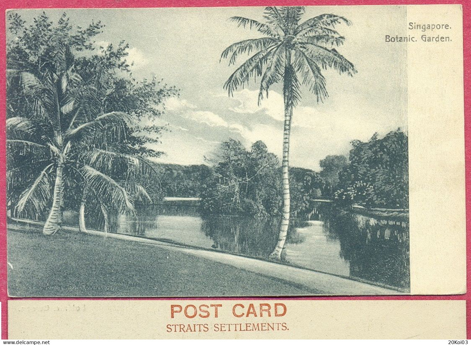 Botanic Garden Botanical Lake Singapore, CPA Vintage_(n°PCard563)_cpc - Singapore