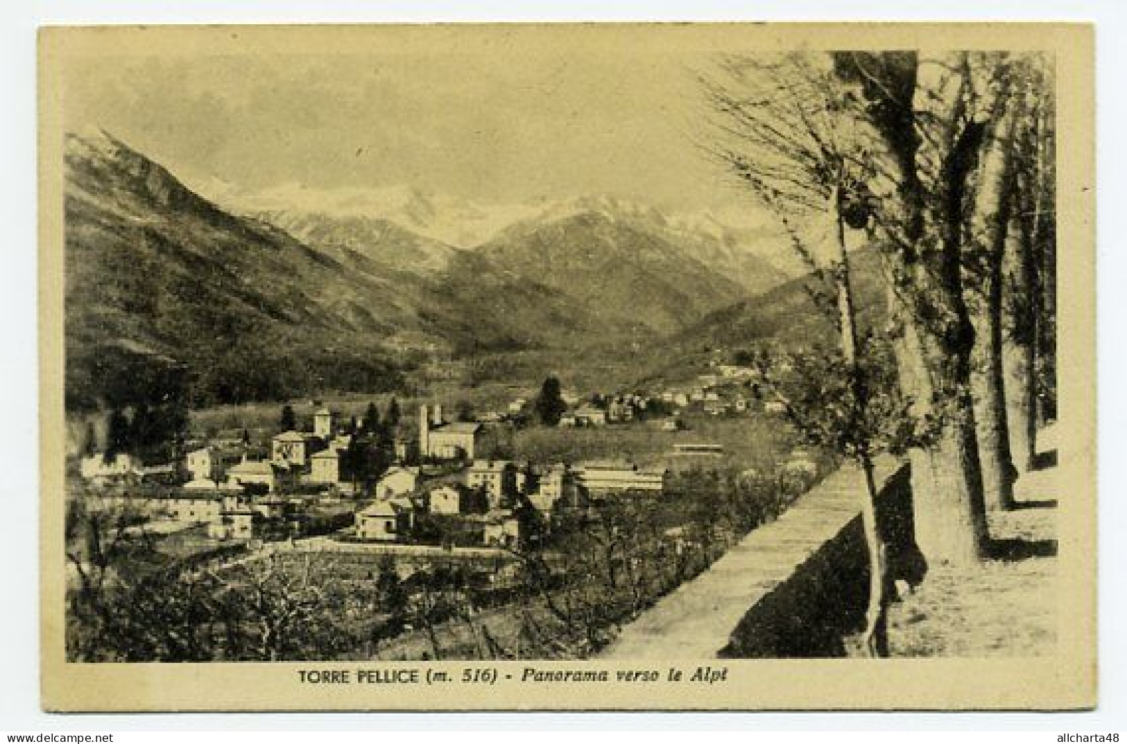 D5013] TORRE PELLICE Torino PANORAMA VERSO LE ALPI Cartolina Viaggiata 1951 - Panoramische Zichten, Meerdere Zichten