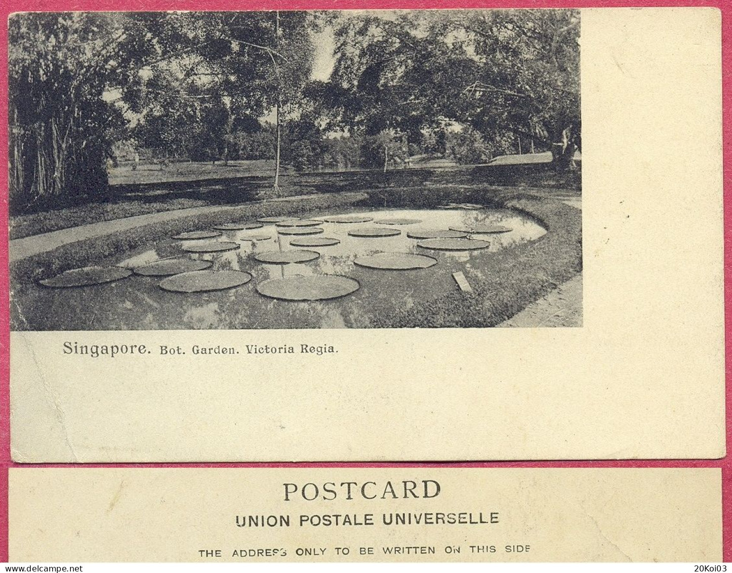 Bot Garden Victoria Singapore Botanical_CPA Vintage_(n°PCard567)_cpc - Singapour