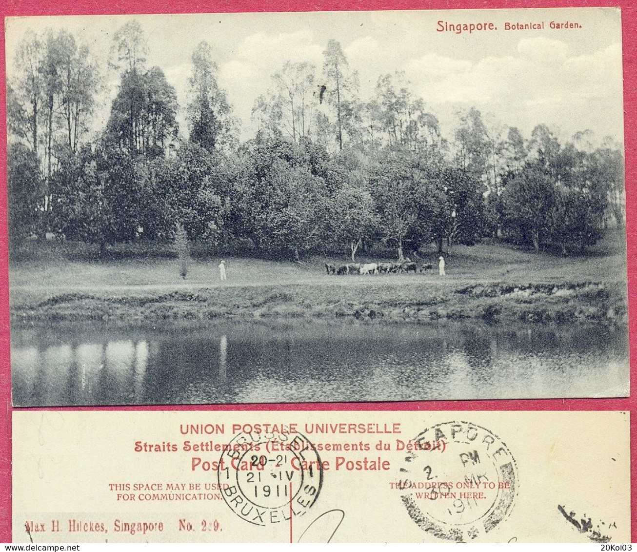 Lake Botanical Garden Singapore No 229 Mak H Hilckes,1911  One Man CPA Vintage_ (n°PCard575)_cpc - Singapour
