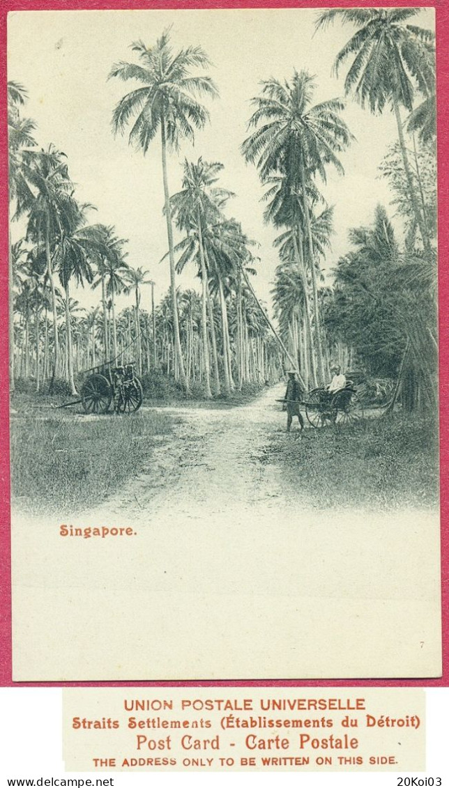 Rikisha Landscape Nature Singapore 1900's Paysage N°7_CPA Vintage_(PCard528)_cpc - Singapour