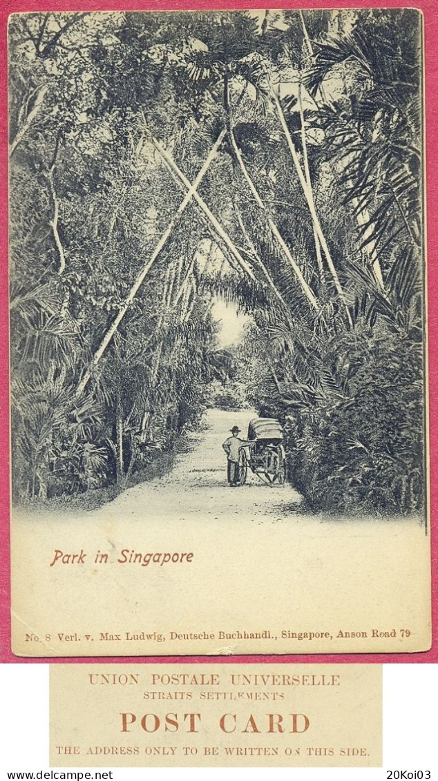 Park In Singapore, Max Ludwig, Deutsche Buchhandl, (Street In Tanglia 1895-1900's)_CPA Vintage_(PCard530)_cpc - Singapore