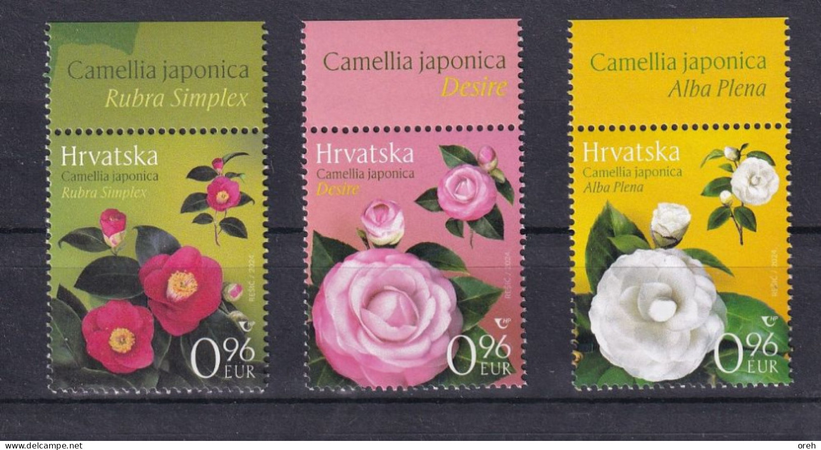 CROATIA 2024,FLORA,PLANTS,CAMELLIAS,MNH - Croatia