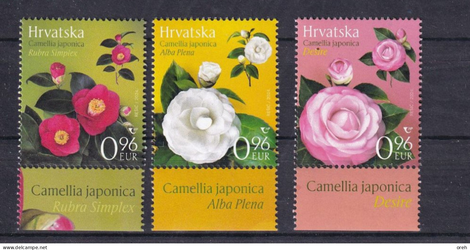 CROATIA 2024,FLORA,PLANTS,CAMELLIAS,MNH - Croatia