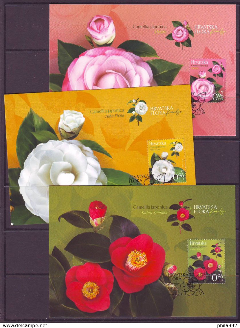 Croatia 2024 Croatian Flora - CAMELLIAS  Max.C. (3) - Croatie