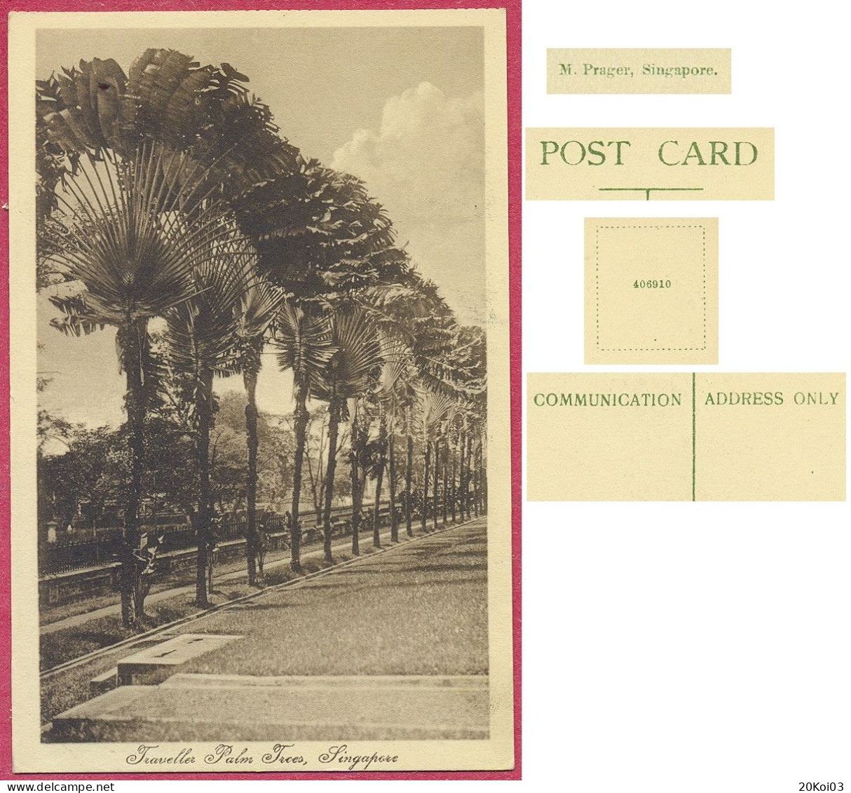 Traveller Palm Trees Singapore No 406910 M Proger_TTB CPA Vintage_(n°PCard452) Singapour_cpc - Singapour