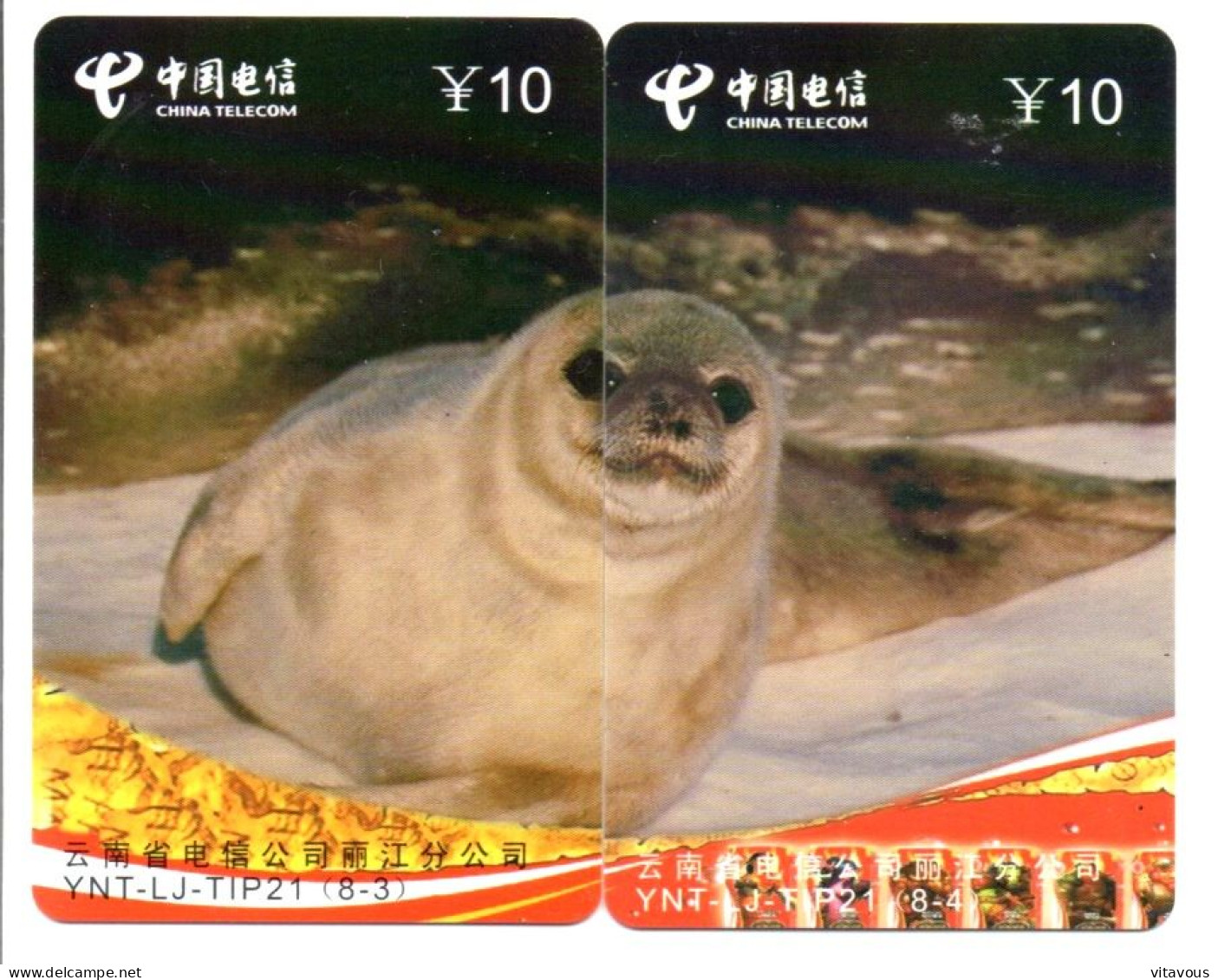 Phoque Puzzle 2 Télécartes Chine China Phonecard  Telefonkarte (P 64) - China