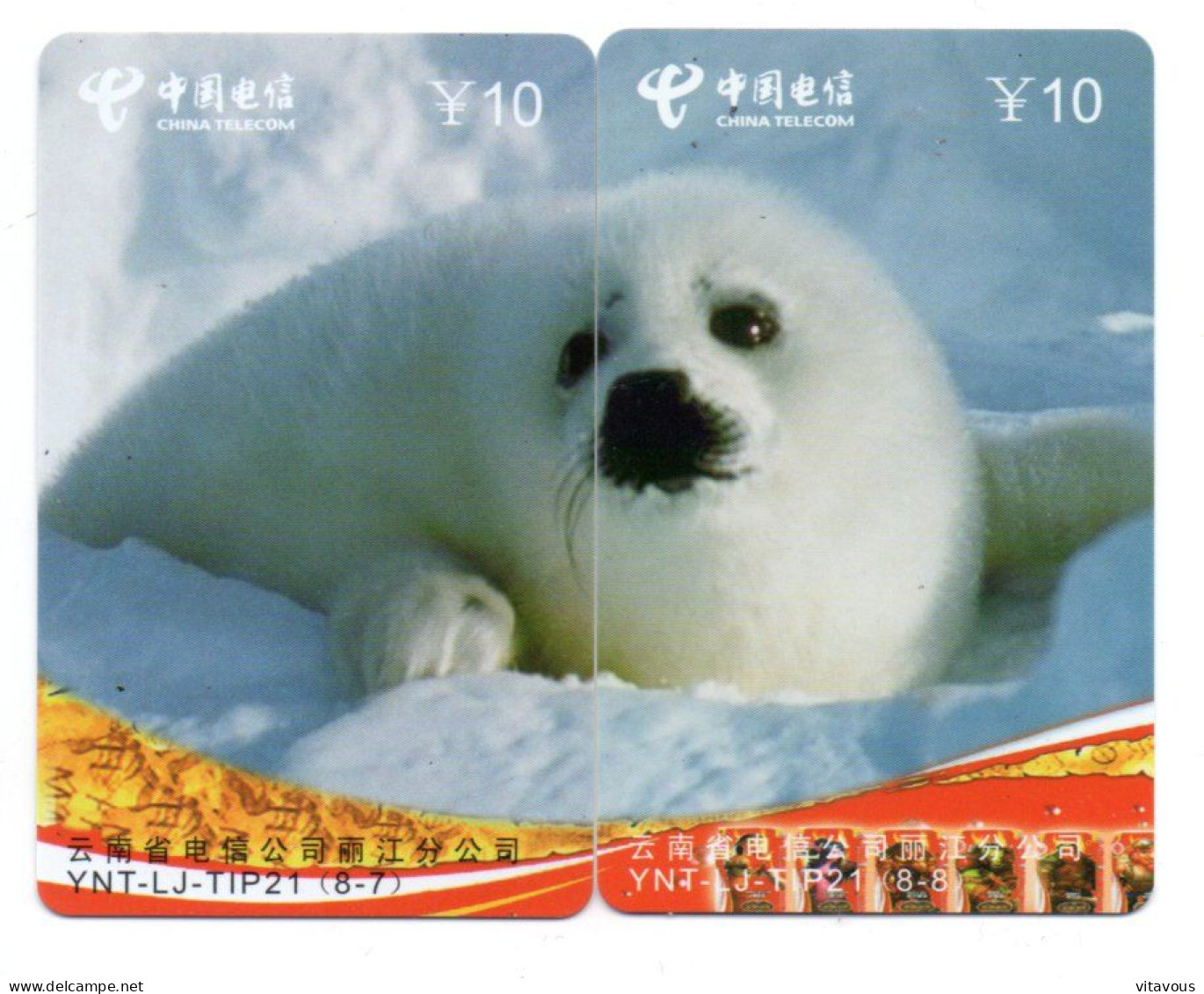 Phoque Puzzle 2 Télécartes Chine China Phonecard  Telefonkarte (P 65) - China