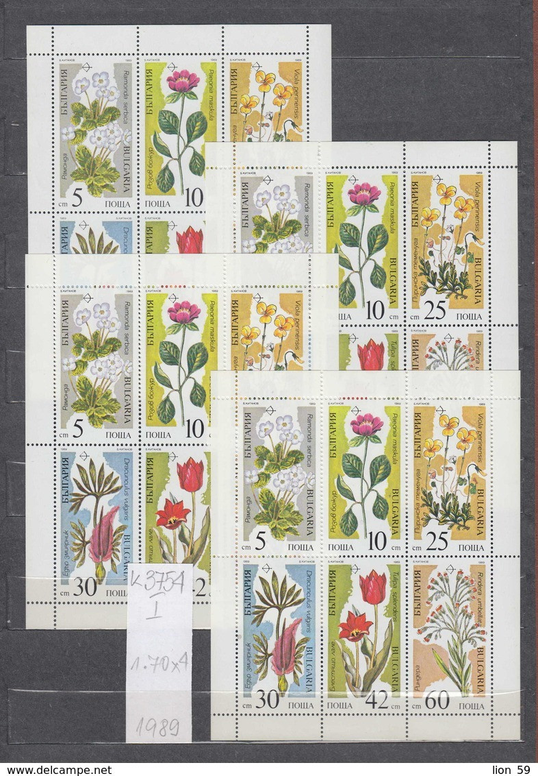 3754I  X 4 -  Bulgaria 1989 Plants Flowers M Sheet ** MNH /Gefahrdete Pflanzen - Gesneria Pfingstrose Veilchen - Nuevos