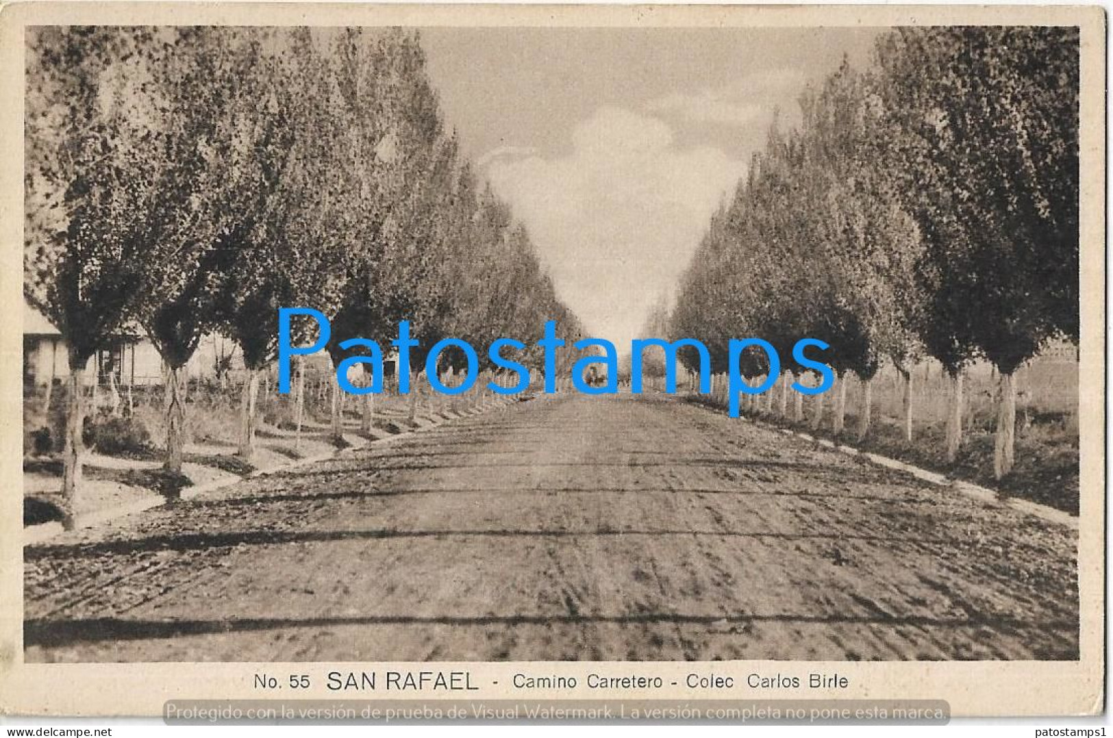 225811 ARGENTINA MENDOZA SAN RAFAEL CAMINO CARRETERO PUBLICITY 1º INSTITUTO OCULISTICO BIRLE  POSTAL POSTCARD - Argentine