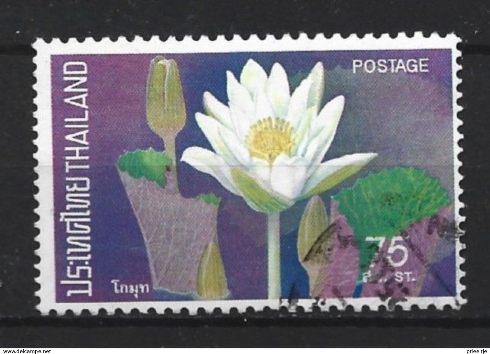 Thailand 1973 Flower Y.T. 640 (0) - Thaïlande