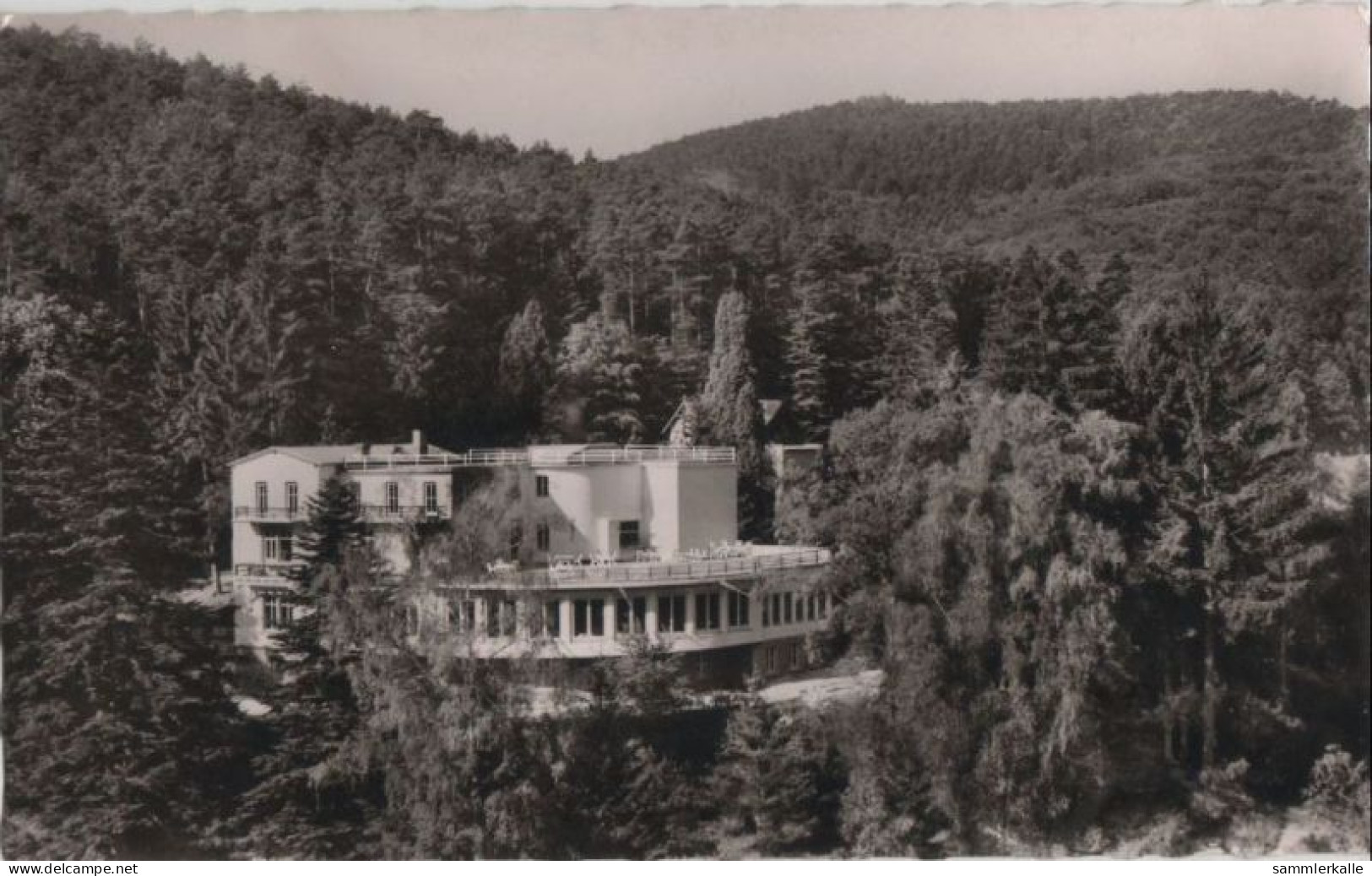 69564 - Bad Bergzabern - Parkhotel - 1959 - Bad Bergzabern