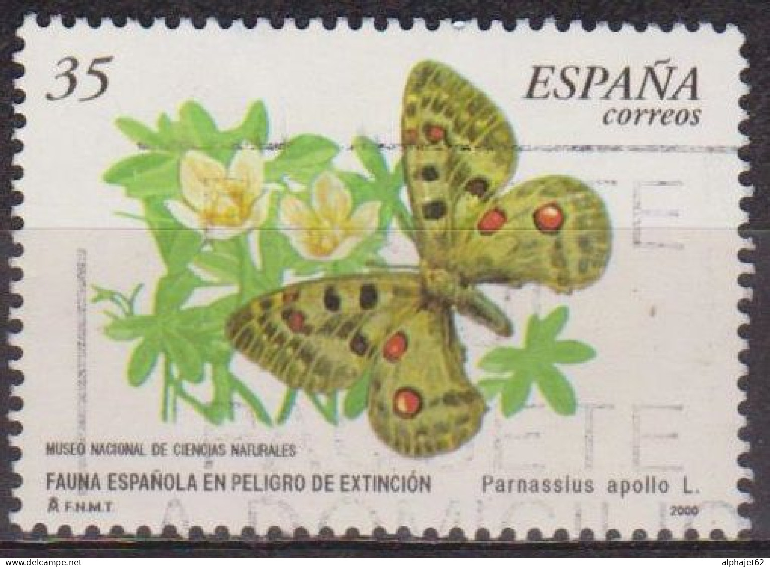 Faune - Insectes - ESPAGNE - Papillon - Parnassius Apollo - N° 3261 - 2000 - Gebruikt