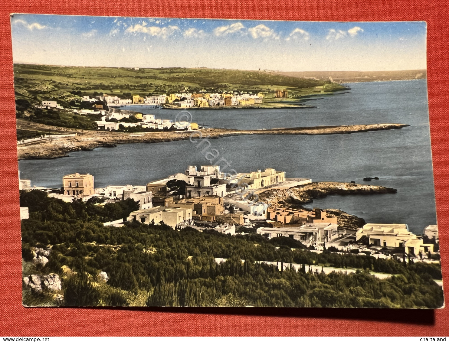 Cartolina - Santa Caterina Di Nardò ( Lecce ) - Panorama - 1963 - Lecce