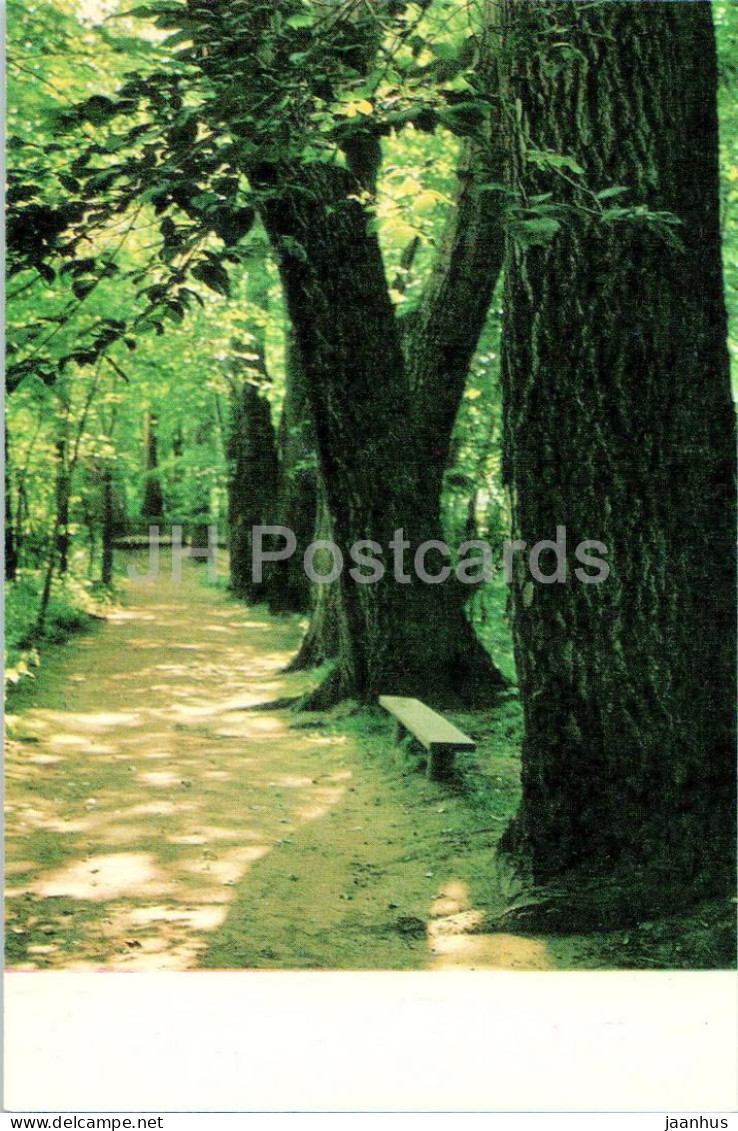 Klin - Linden Lane In The Museum Garden - Russian Composer Tchaikovsky House Museum - 1971 - Russia USSR - Unused - Rusia