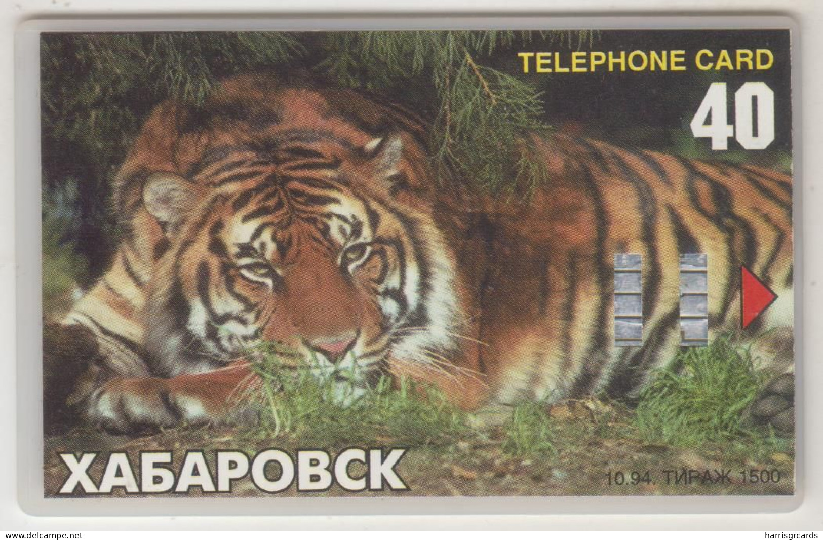 RUSSIA - Chabarovsk Tiger, 40 U, Tirage 4.000, Used, Real Exiton Card, Fake Sticker Overprint - Russia